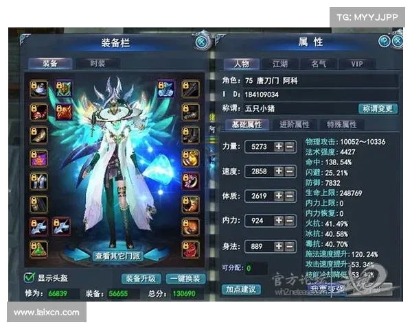 如何在武魂玄冰中实现输出与防御的完美平衡技巧与策略解析