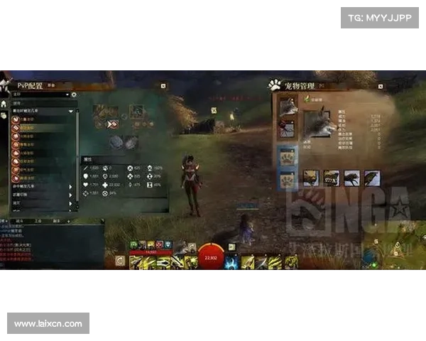 《激战2》游侠宠物驯服技巧解析与实用攻略分享