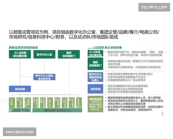 数字化转型助力企业提升运营效率的实用策略与实施指南