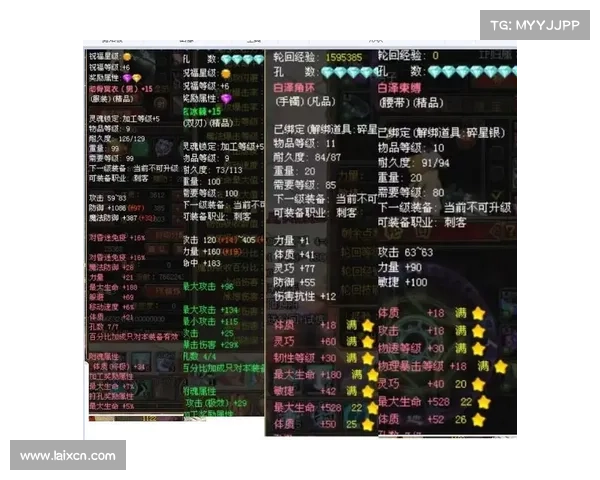 全面解析斗战神龙女刺客技能与装备搭配策略