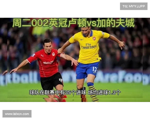 加的夫城足球队所在联赛全面解析与球队表现分析